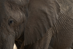 samburu0953